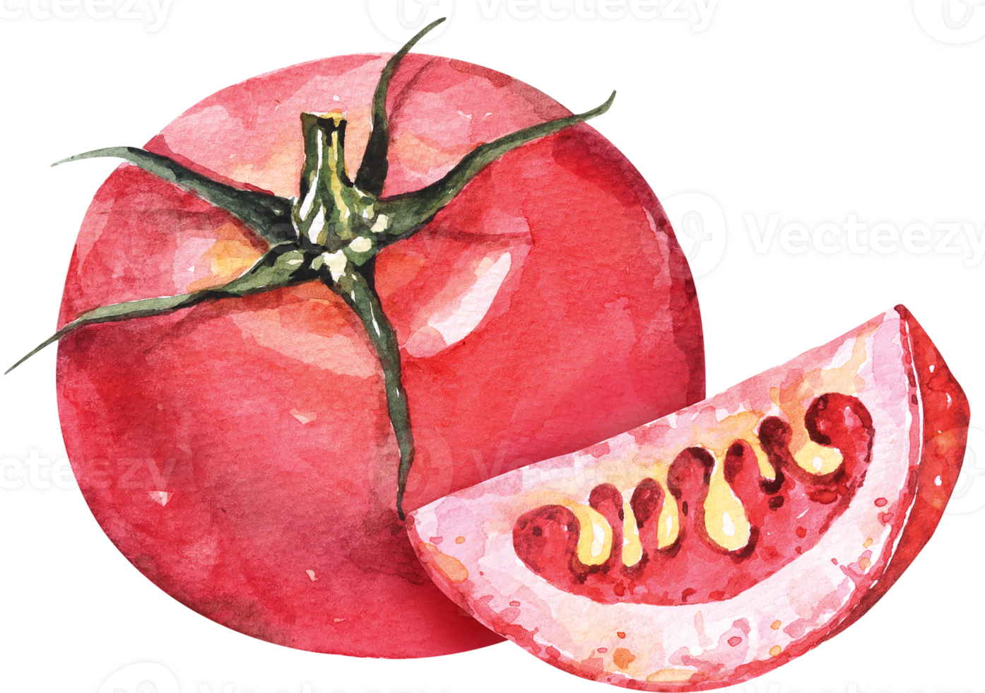 watercolor vegetable tomato.Fresh ripe cherry tomatoes.Red fruit healthy. png