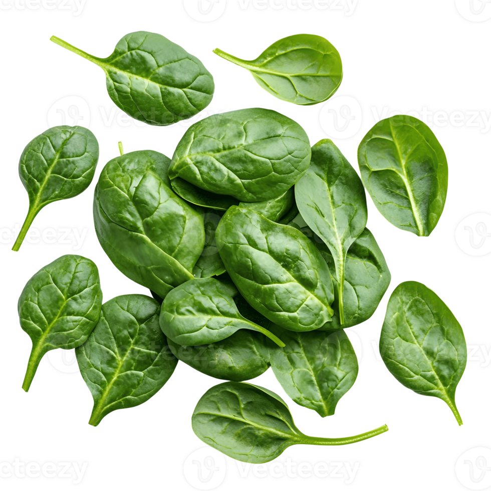 Fresh Spinach Leaves Spread Out Isolated On A Transparent png