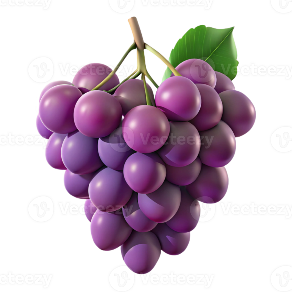 impressive traditional A cluster of grapes hanging from a vine, with ripe, juicy textures and warm, natural light genuine png