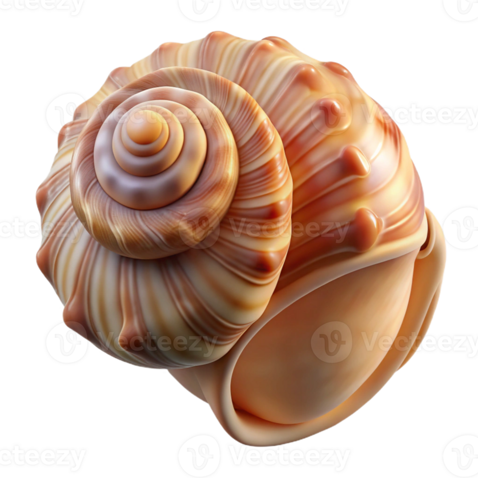 magnificent artistic A close-up of a seashell, with intricate patterns and textures, lit by soft, diffused light exclusive png