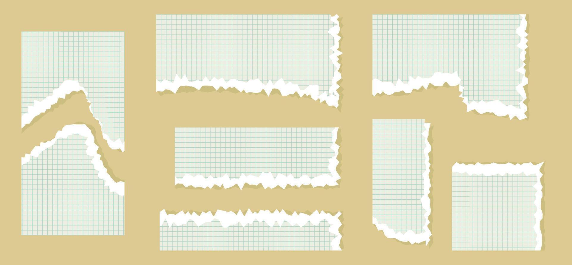 Set of torn lined, math note, notebook paper. Square grid sheet. Ripped pages of school notepad. illustration vector