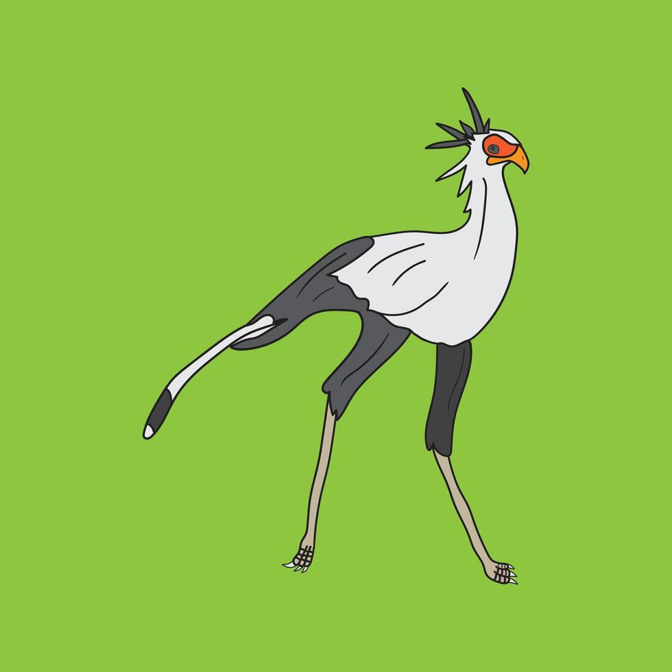 Secretary Bird Illustration on a Green Background vector