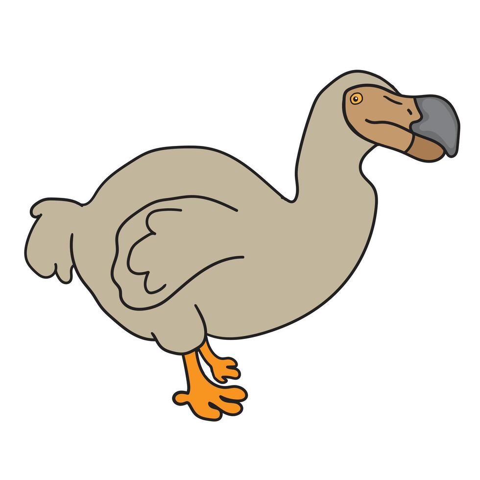 Illustration of a Dodo Bird vector
