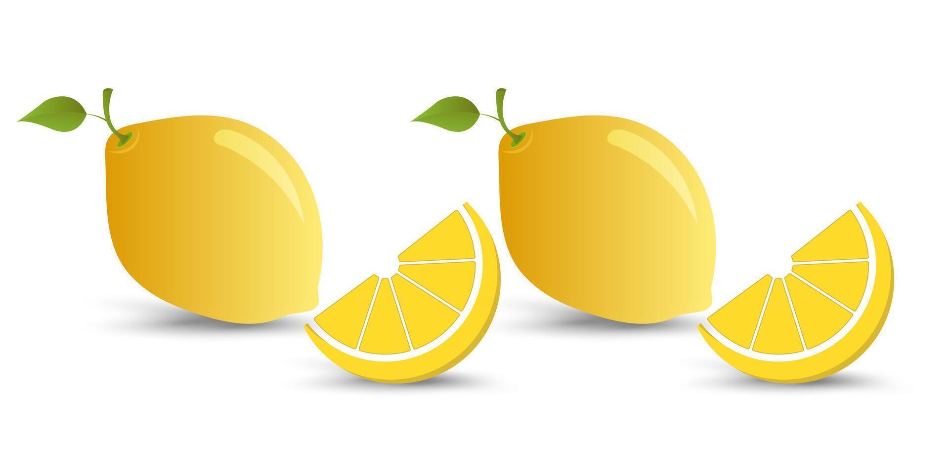 Set of two yellow fresh lemons fruit with green leaf, a fresh juicy lemonl. and illustration vector