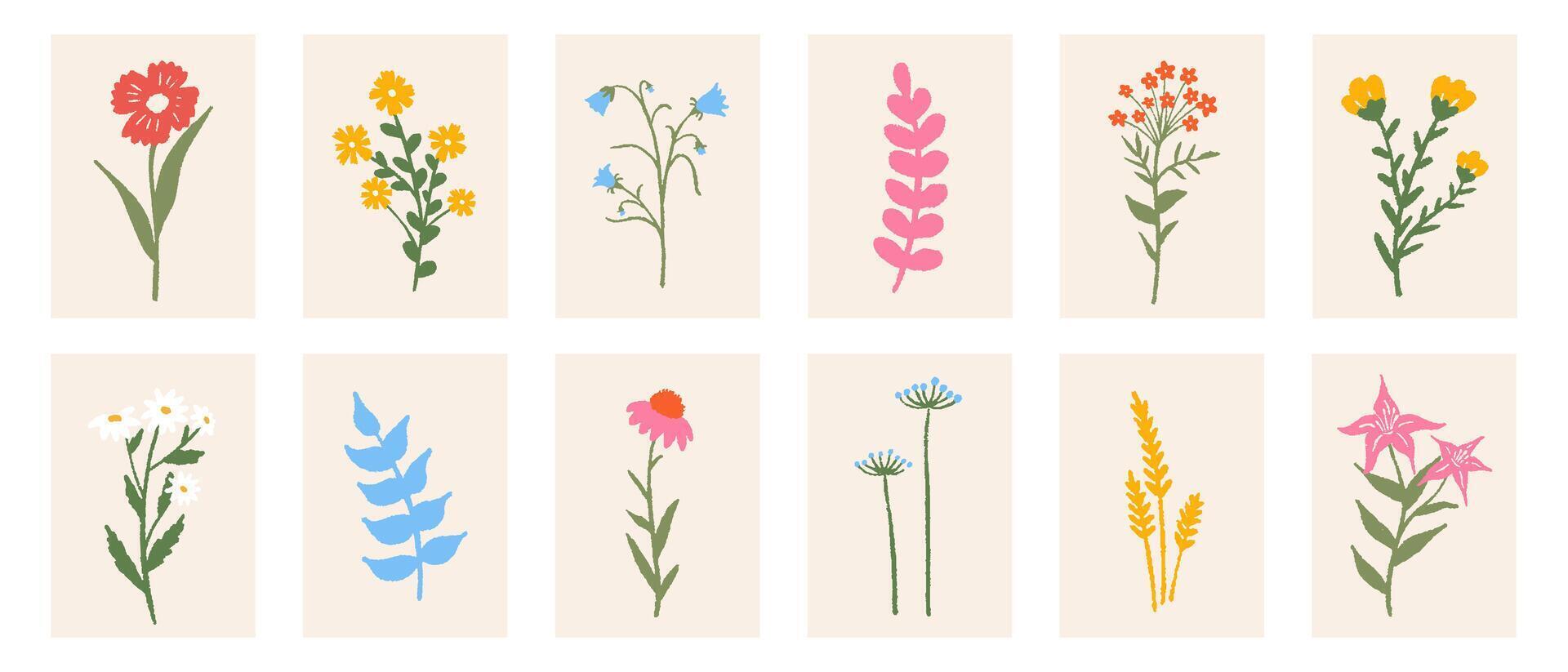 Floral botanical composition set. Modern trendy colorful minimal style. design for print, wallpaper, card and invite, poster vector
