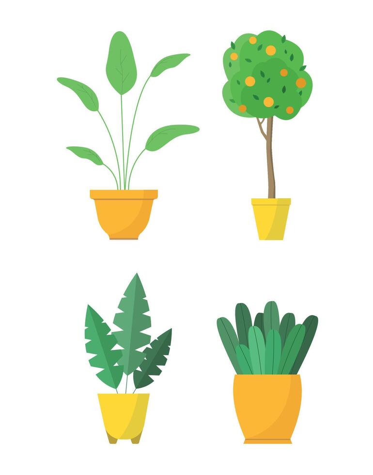 Set of plants and orange tree icons. Houseplants. Decorative elements for interior. vector
