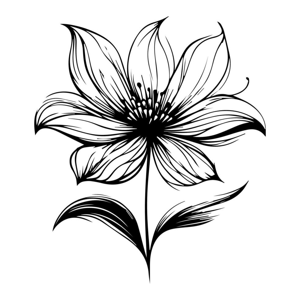 A delicate hand drawn flower icon in an artistic style design vector