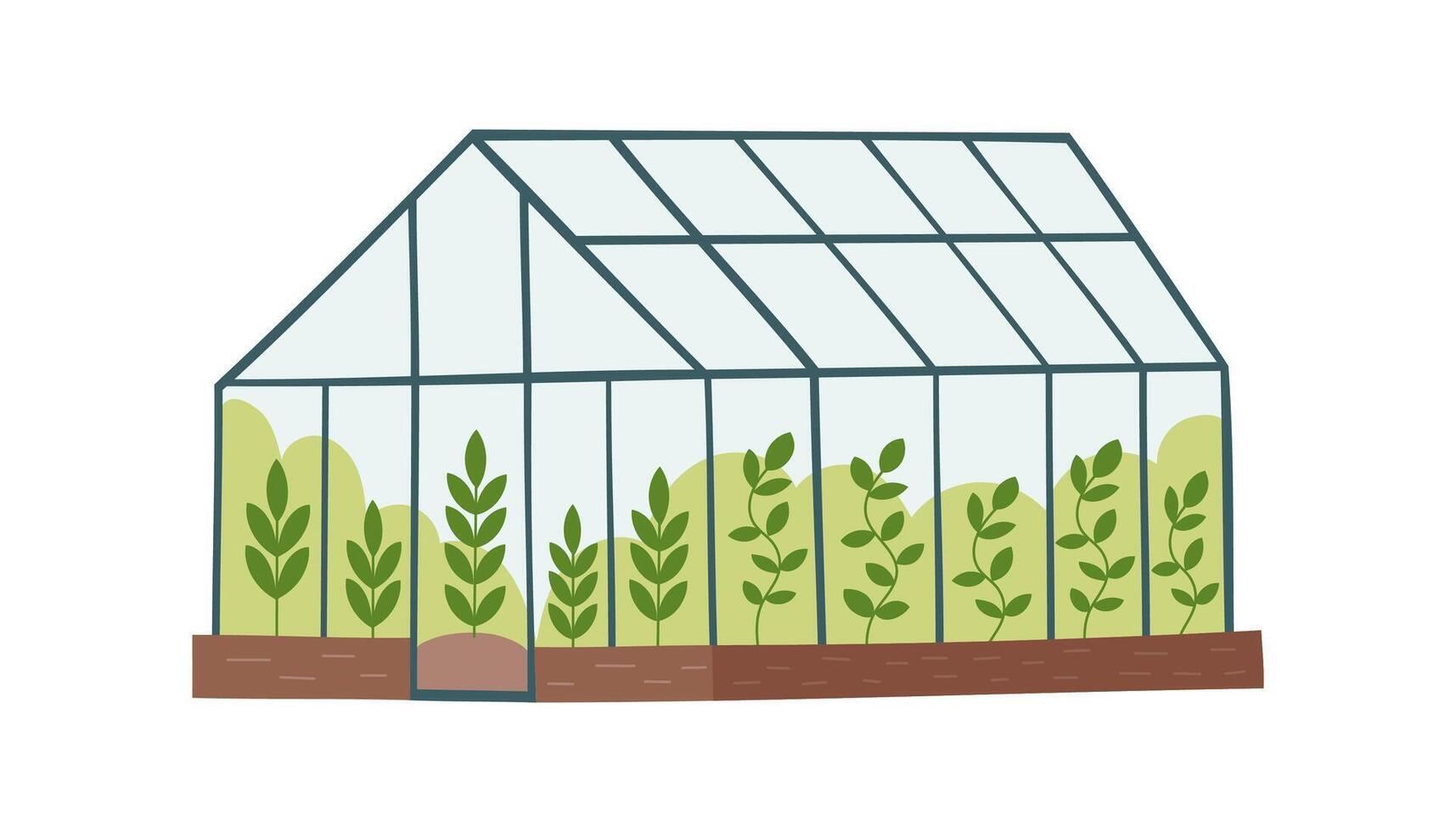 Greenhouse with plants isolated on white background. Spring and gardening concept. vector
