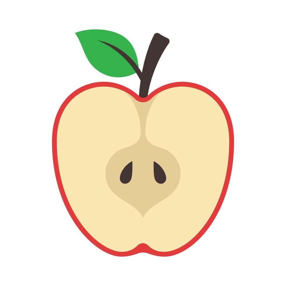 Half Apple Inside Flat Style vector