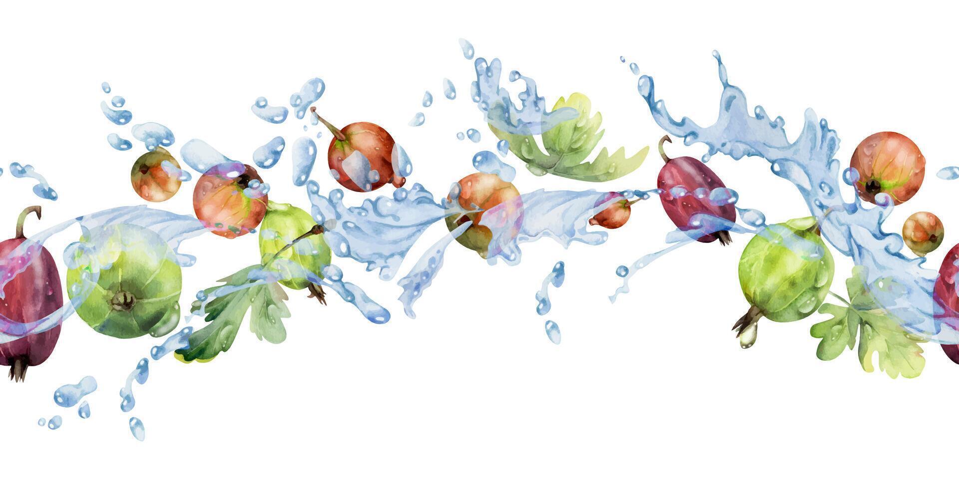 Gooseberry Currant flying in water splash with green leaves and dew drops, ripe summer garden berry hand drawn in watercolor. Isolated seamless banner for home preserves, stationery, menu, recipe book vector