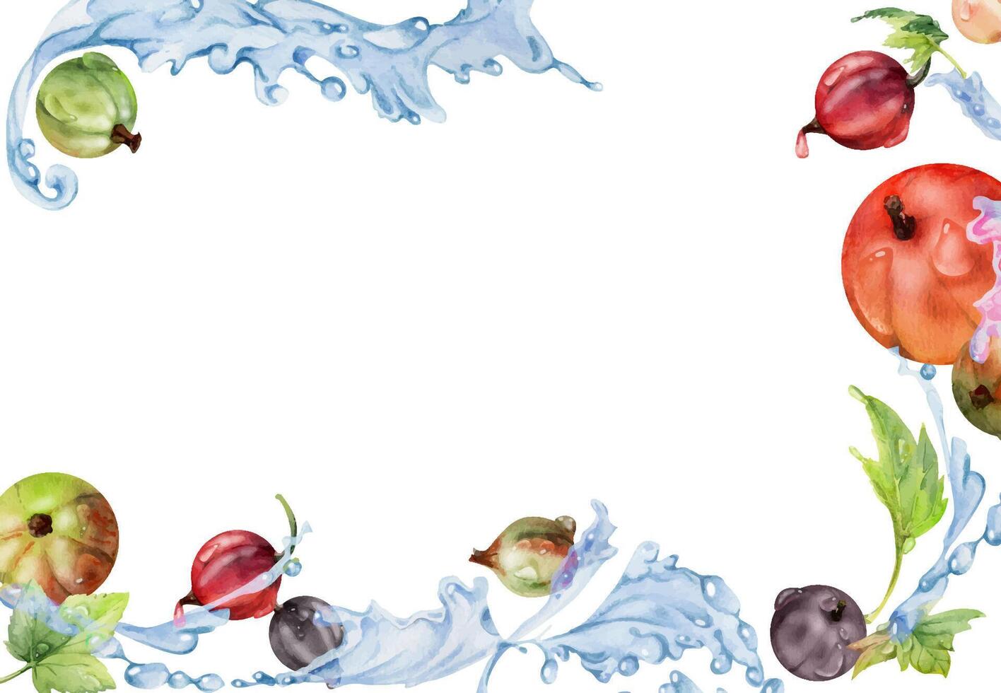 Currant gooseberry flying in water splash with green leaves, dew drops, ripe garden berry juneberry casseille jostaberry hand drawn in watercolor. Isolated border corner frame. Menu, farmers market vector