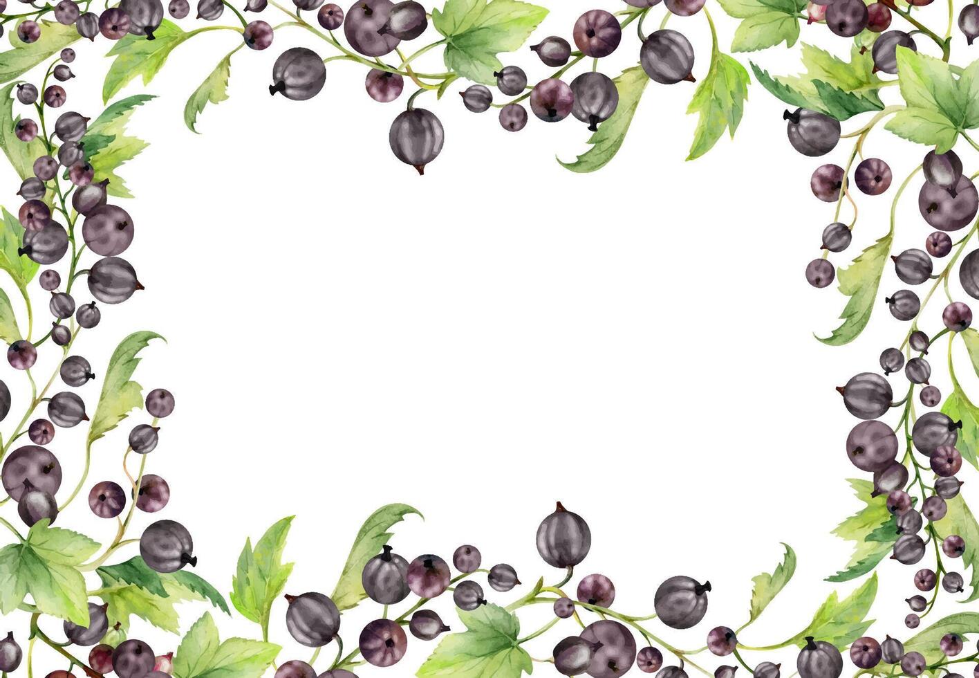 Currant gooseberry with green leaves on branch, hand drawn in watercolor, ripe garden berry juneberry casseille jostaberry cluster group. Isolated border frame for craft menu, farmers market grocery vector