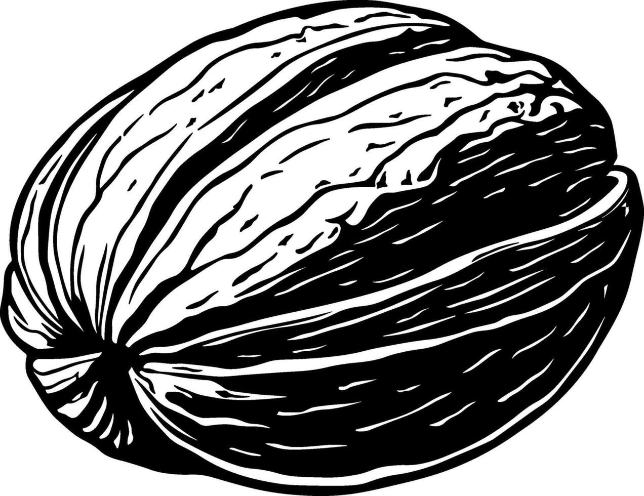 walnut black and white illustration without background vector
