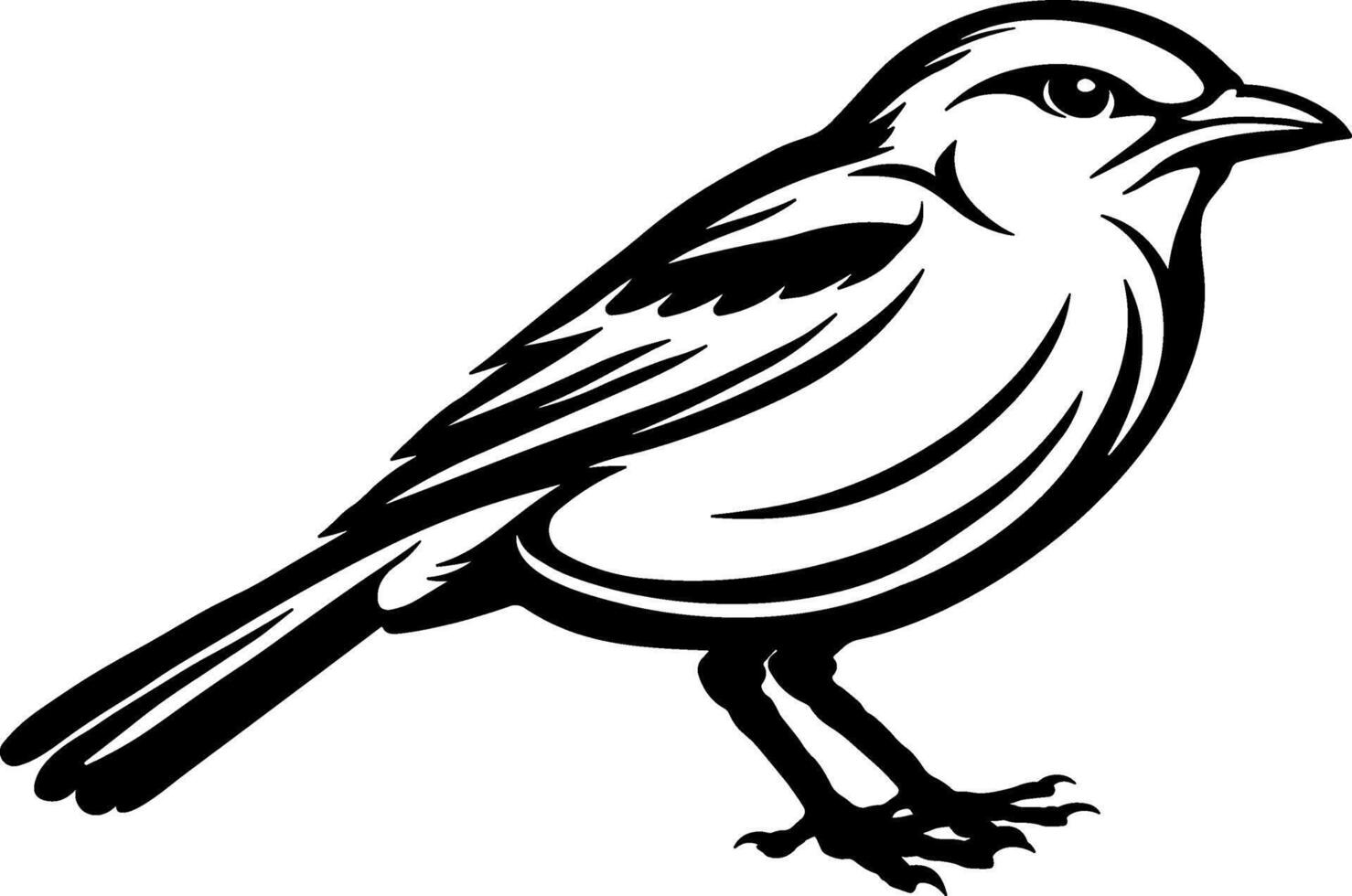 black silhouette of a bird vector