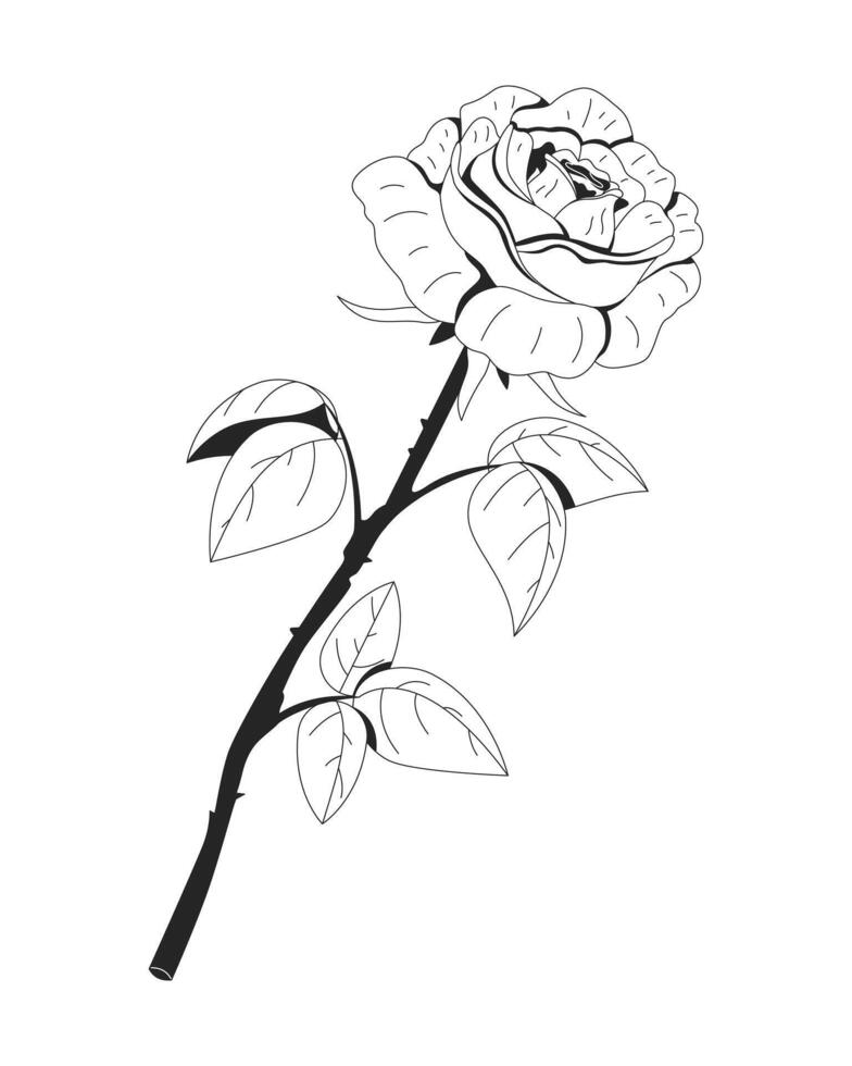Beautifully detailed rose with long stem and fresh leaves 2D line object. Floral bloom. Valentine symbol. Romantic flower isolated clipart ink outline item. Monochrome spot illustration vector