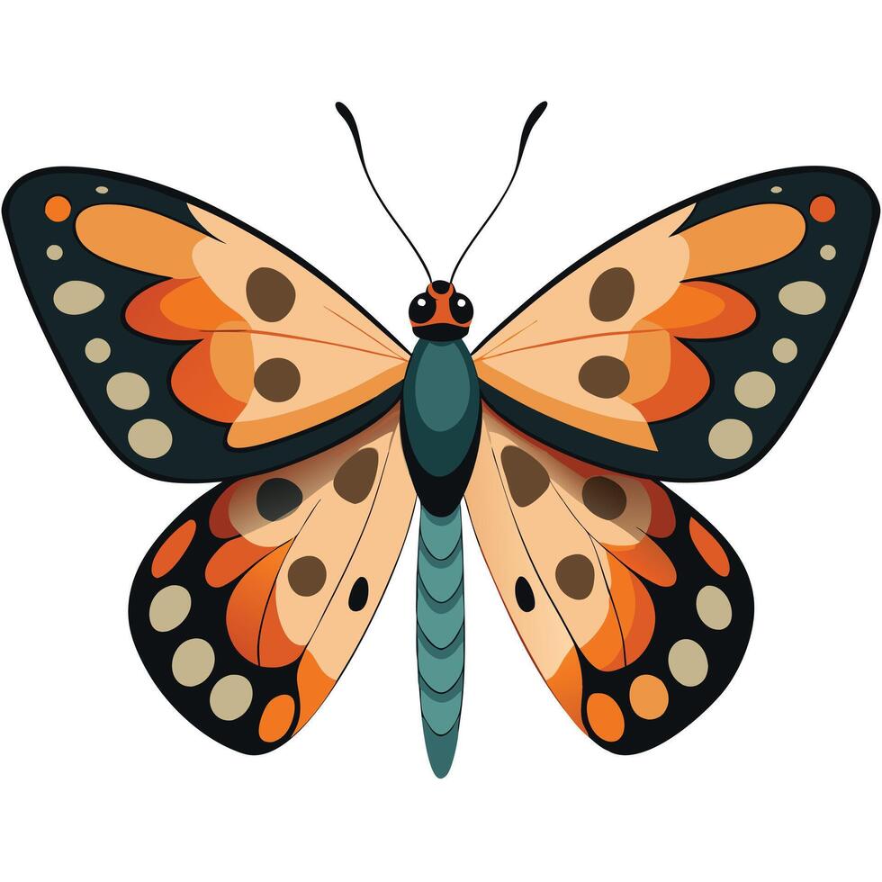 Beautiful orange and brown butterfly with black markings and teal body illustration vector