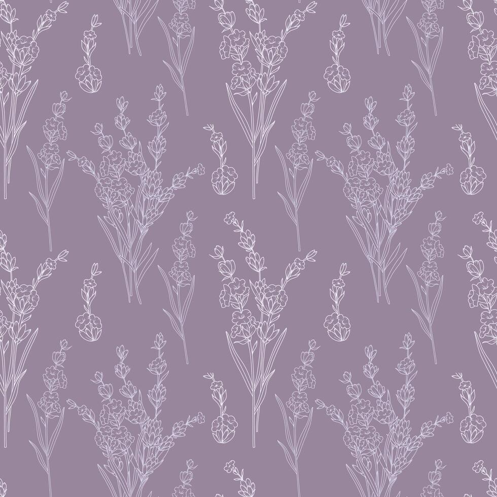 Floral seamless pattern with Lavender flowers. Lavender background. Eco background. Lavender hand drawn line art design. Elegant seamless background minimalist style vector