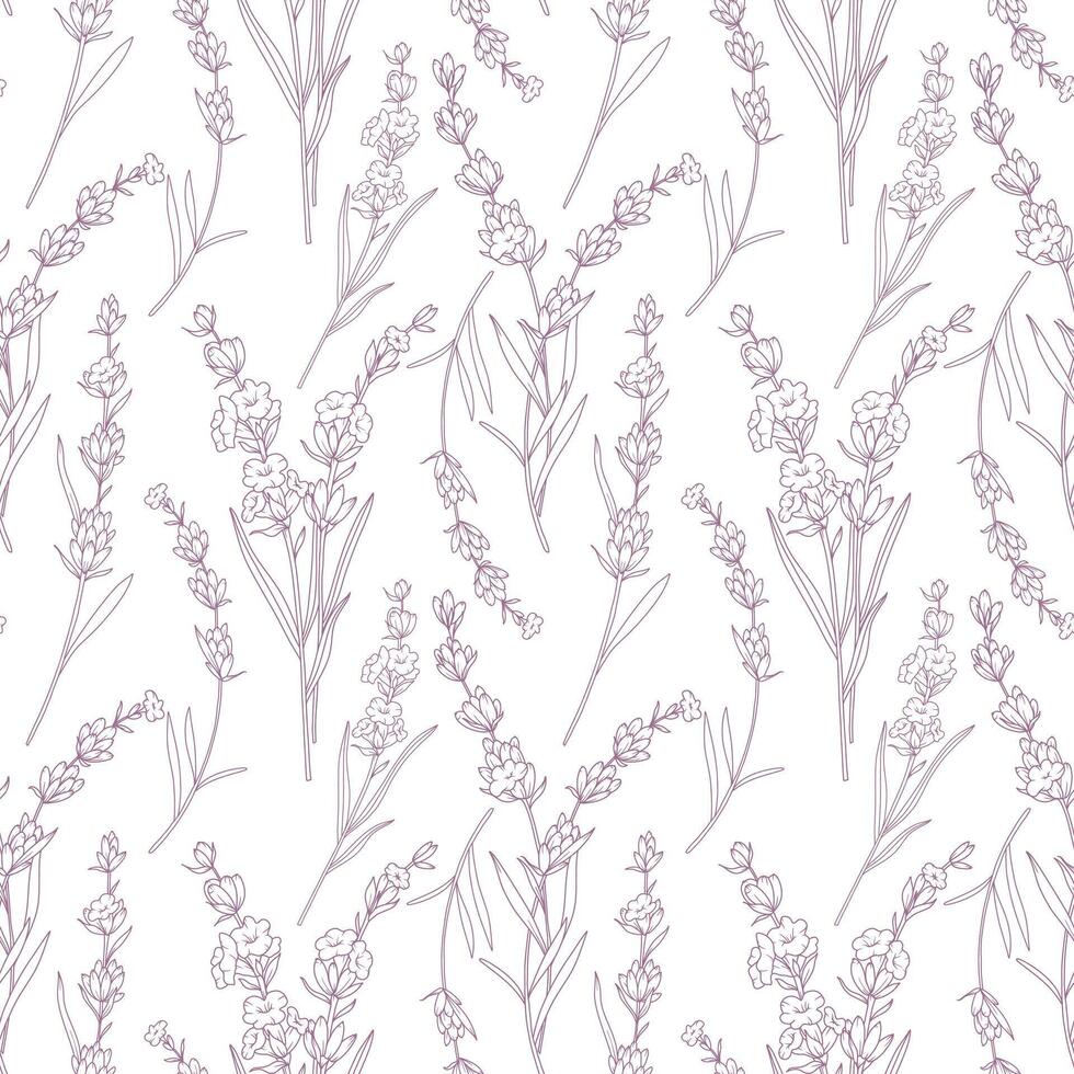 Provence Floral seamless pattern with Lavender. Lavender background. Eco background. Lavender hand drawn line art design. Elegant seamless background minimalist style vector
