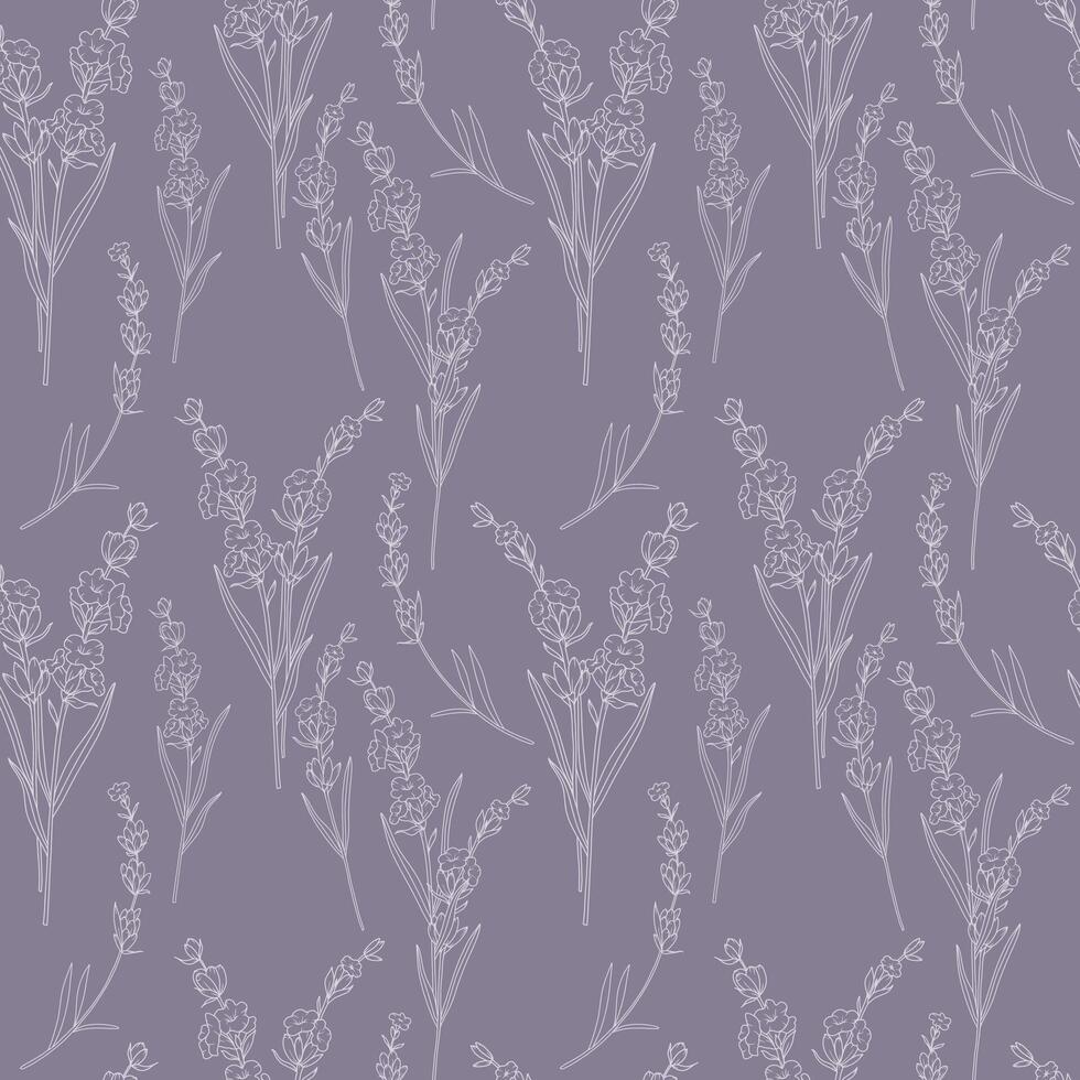 Floral seamless pattern with Hand Drawn Lavender. Lavender background. Eco background. Lavender hand drawn line art design. Elegant seamless background minimalist style vector