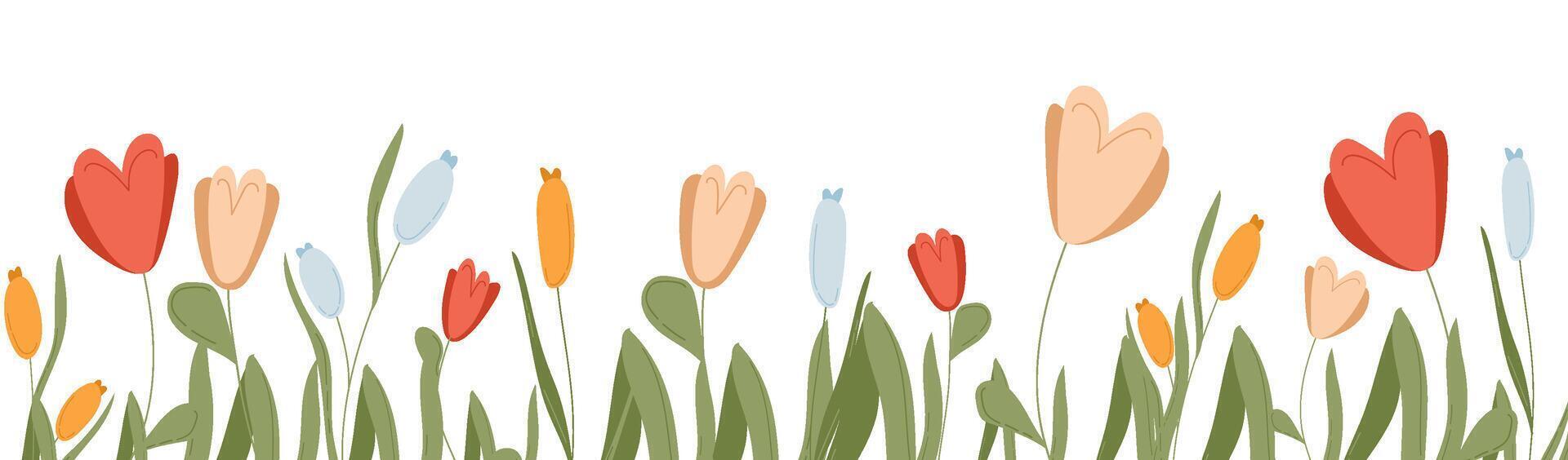 Banner with flower bloom for spring background. Botanical summer frame with wildflower border . Horizontal garden design with leaves, petals, and tulip graphic for floral meadow invitation vector