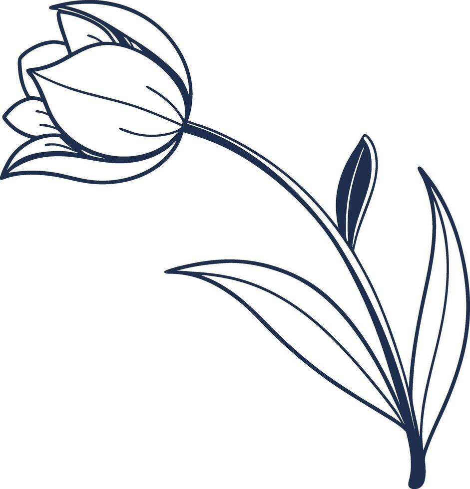 A black and white drawing of a tulip vector