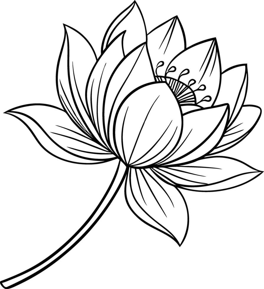 Lotus flower coloring pages vector