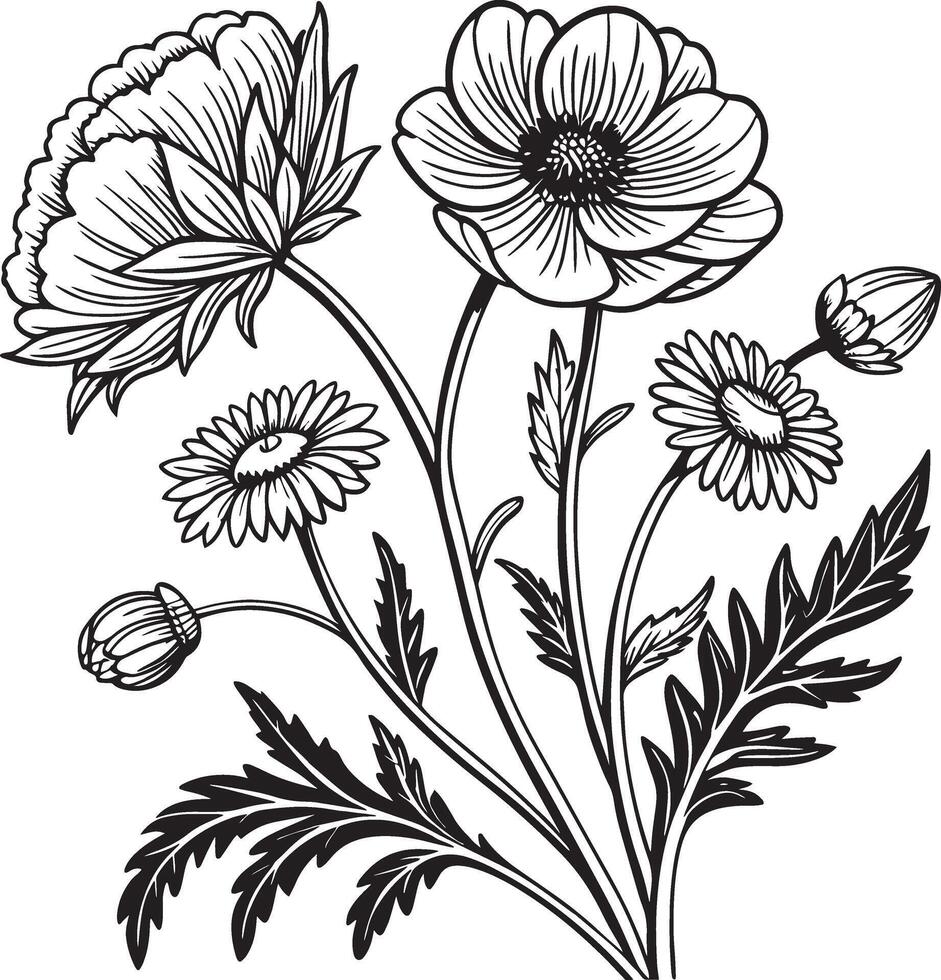 An outline drawing of flowers and leaves vector