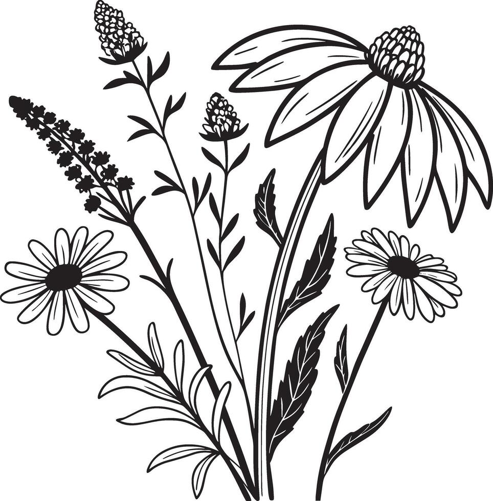 Black and white drawing of wildflowers vector