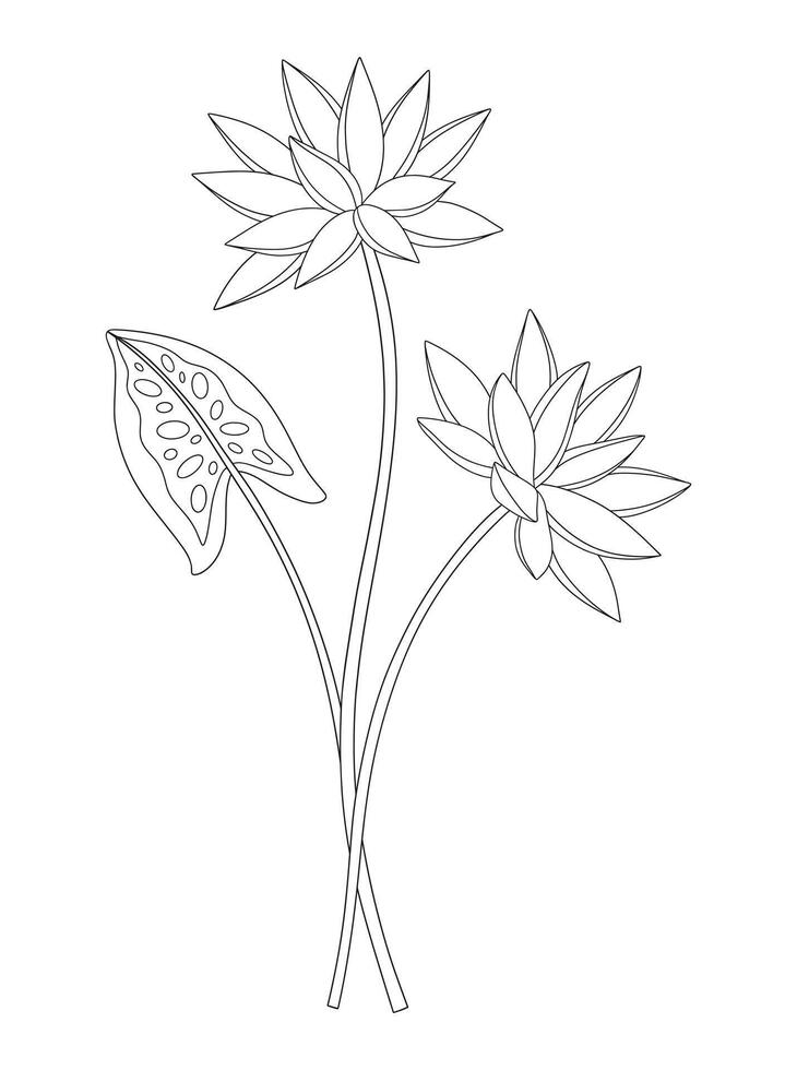 Bouquet of two nymphaea flowers with leaves. Bunch of blooming water wild plants. Line art, minimal style, contour. Botanical hand-drawn elements for design projects vector