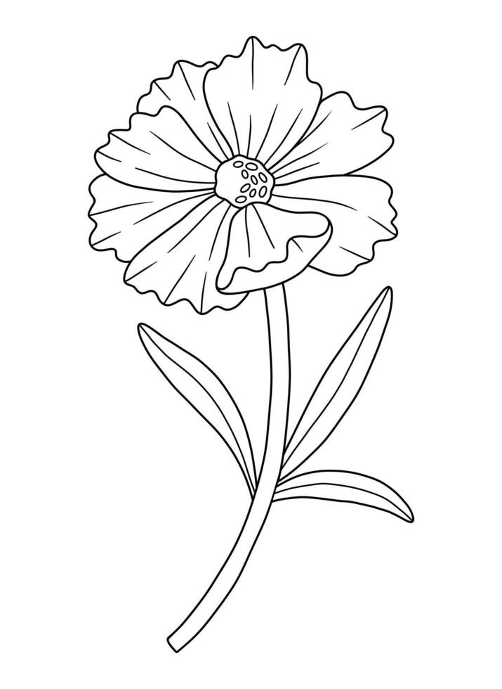 Wildflower in line art style. Blooming wild plant coreopsis, meadow flower, black contour, ink outline. Floral botanical element for coloring book. vector
