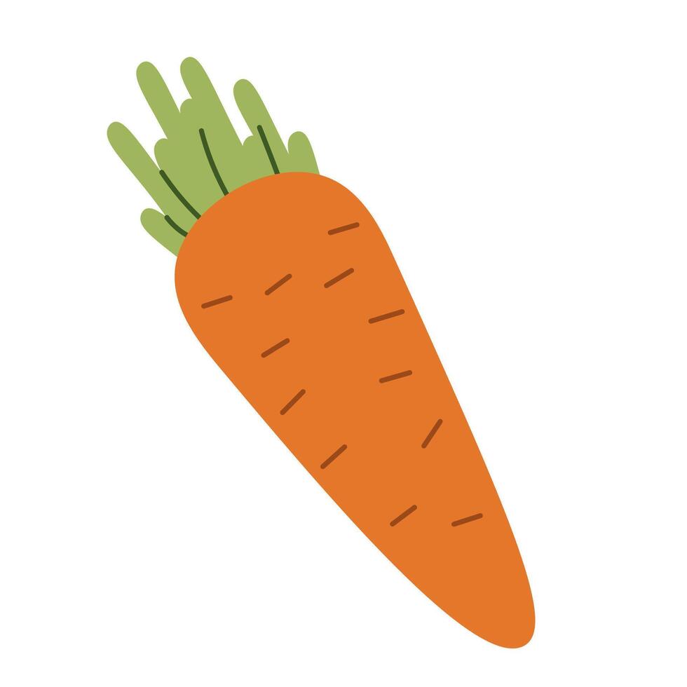 Flat style illustration of a carrot, ideal for healthy eating, cooking projects, and vegetable-inspired designs. vector