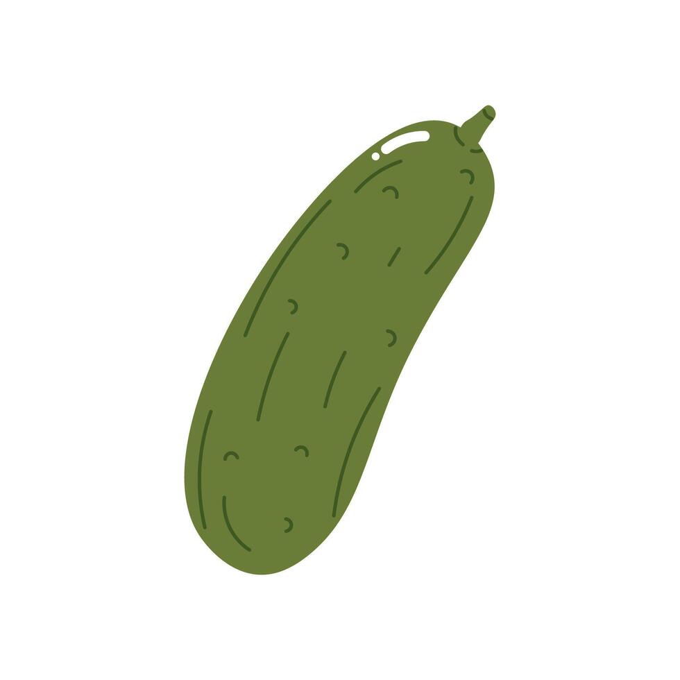 Flat style illustration of cucumber, ideal for healthy eating, cooking projects, and vegetable-inspired designs. vector