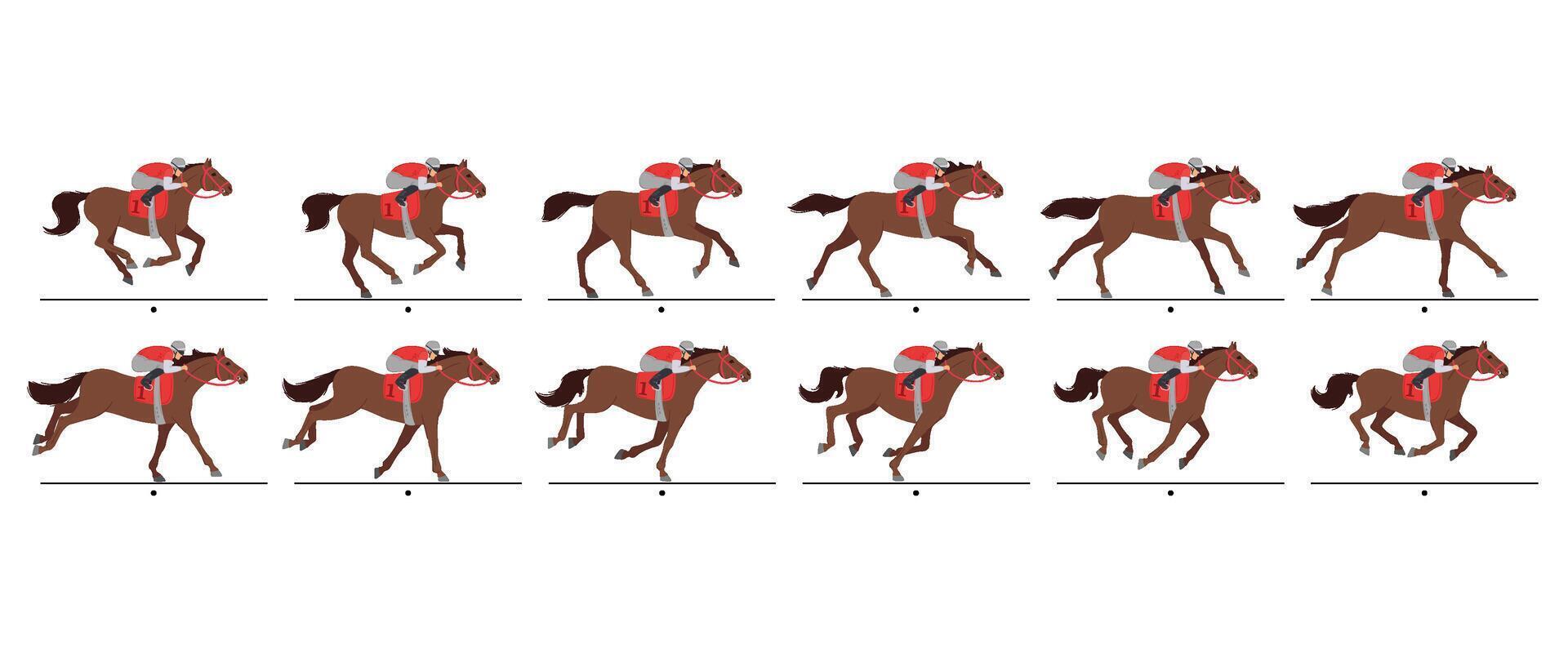 Horse racing animation frames. Running racehorse with jockey animated gallop cycle sequence. Equestrian sport movement steps, cartoon illustration set vector
