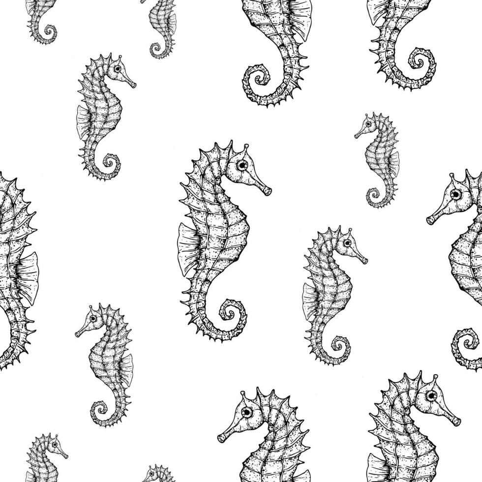 Seamless pattern with seahorse. Hand painted line art. Graphic tropical clip art isolated on background. Underwater illustration. For designers, invitations, decoration, postcards, wrapping vector