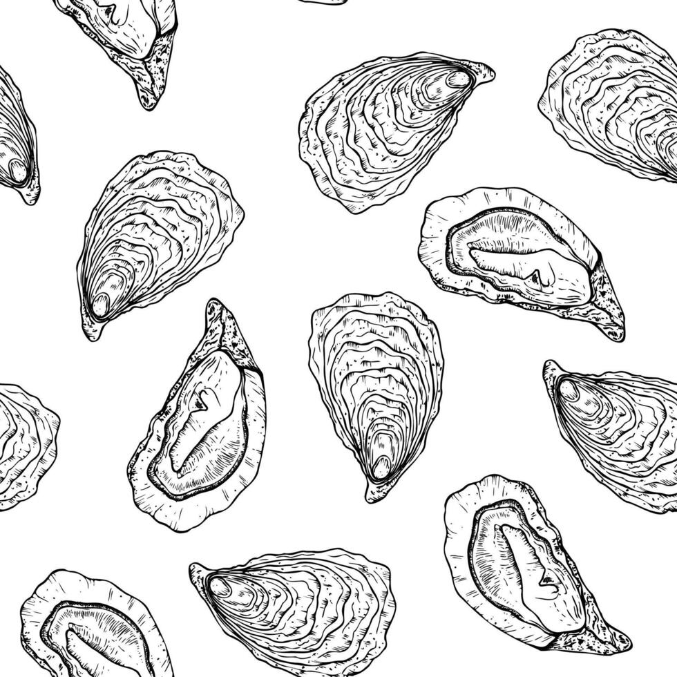 Seamless pattern with Oysters and scallop. Hand painted line seashell. Graphic clip art isolated on background. Underwater illustration. For designers, invitations, decoration, postcards vector