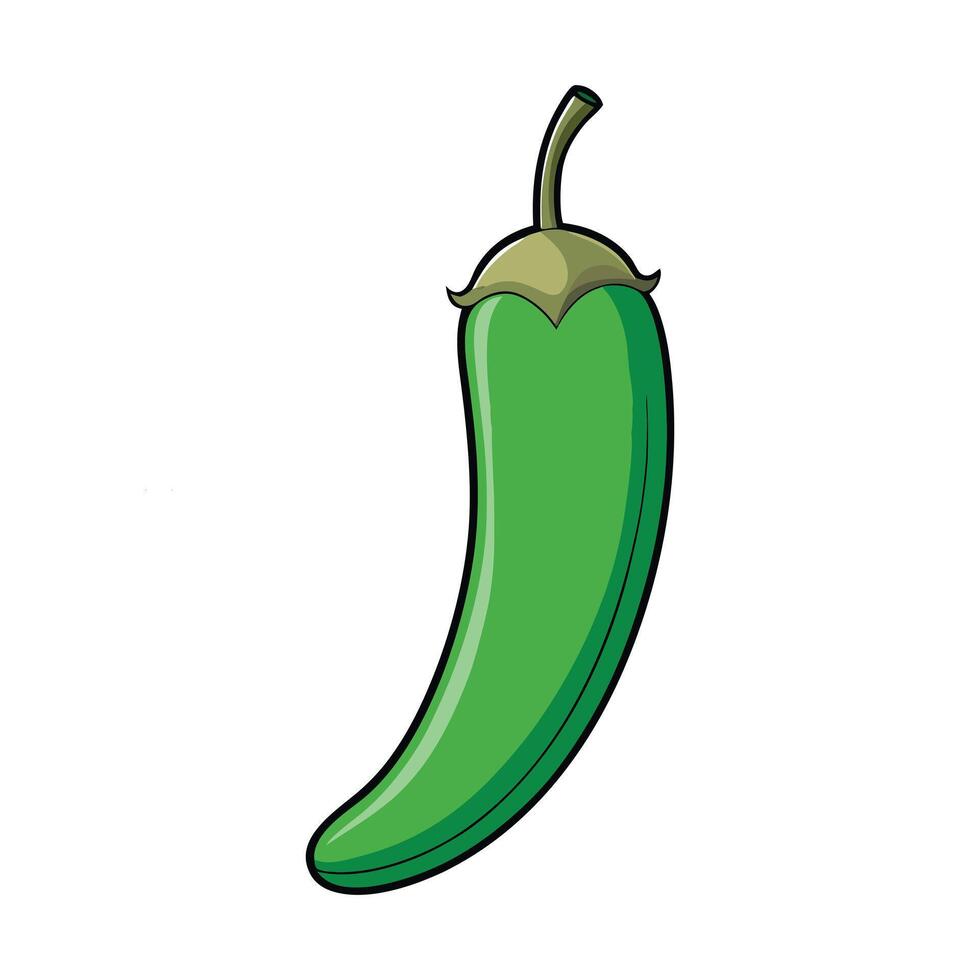 Green Chili Peppers for Cooking and Food Art with Realistic Details vector