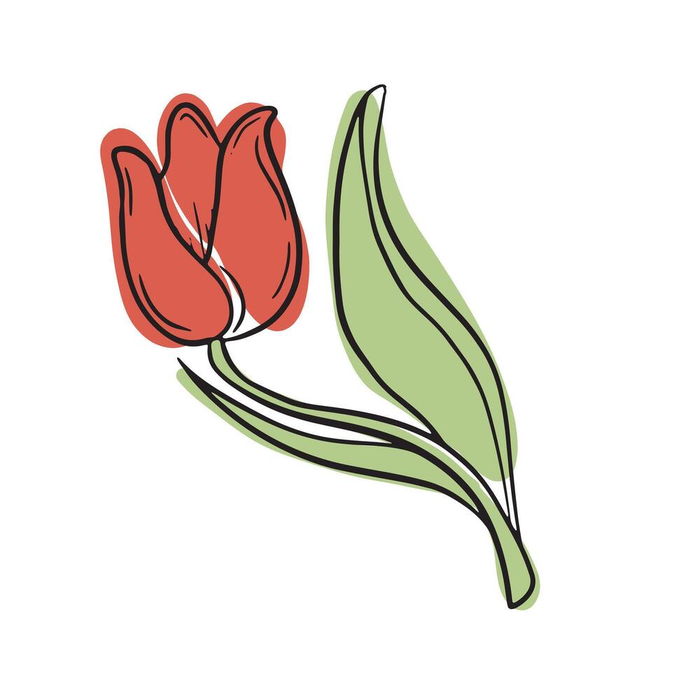 Elegant red tulip with green leaves in a delicate hand-drawn style. A simple floral illustration symbolizing spring, beauty, and nature charm. vector