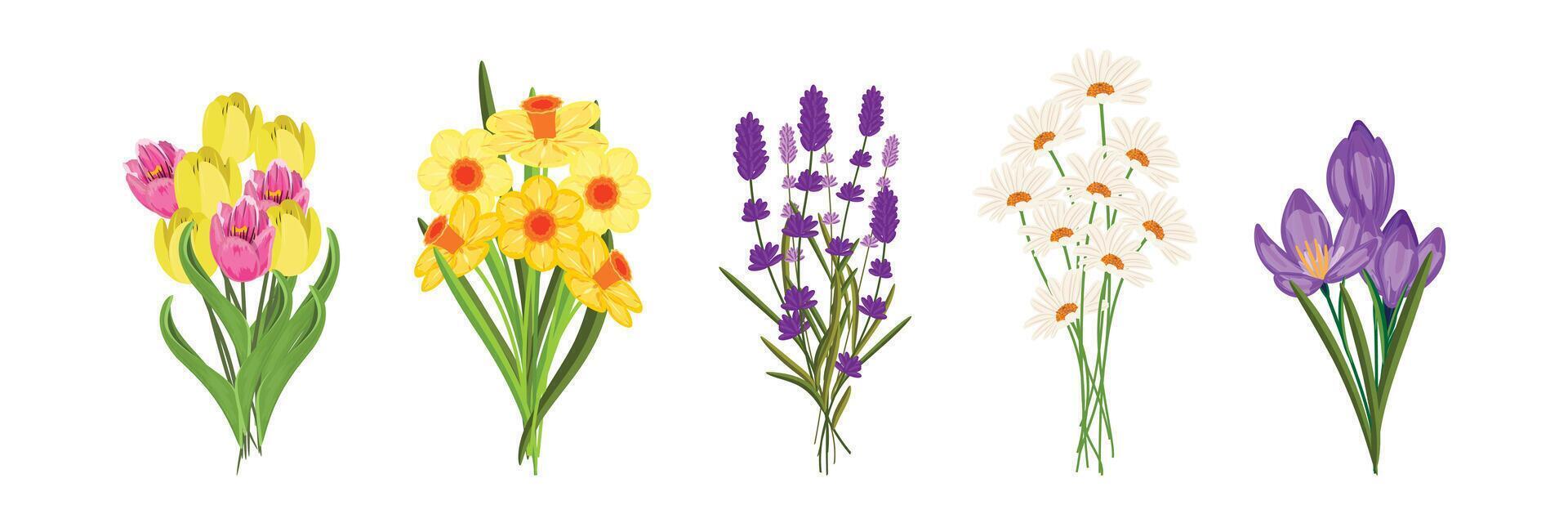 Illustrated collection of diverse flower bouquets, perfect for garden and floral themed concepts vector