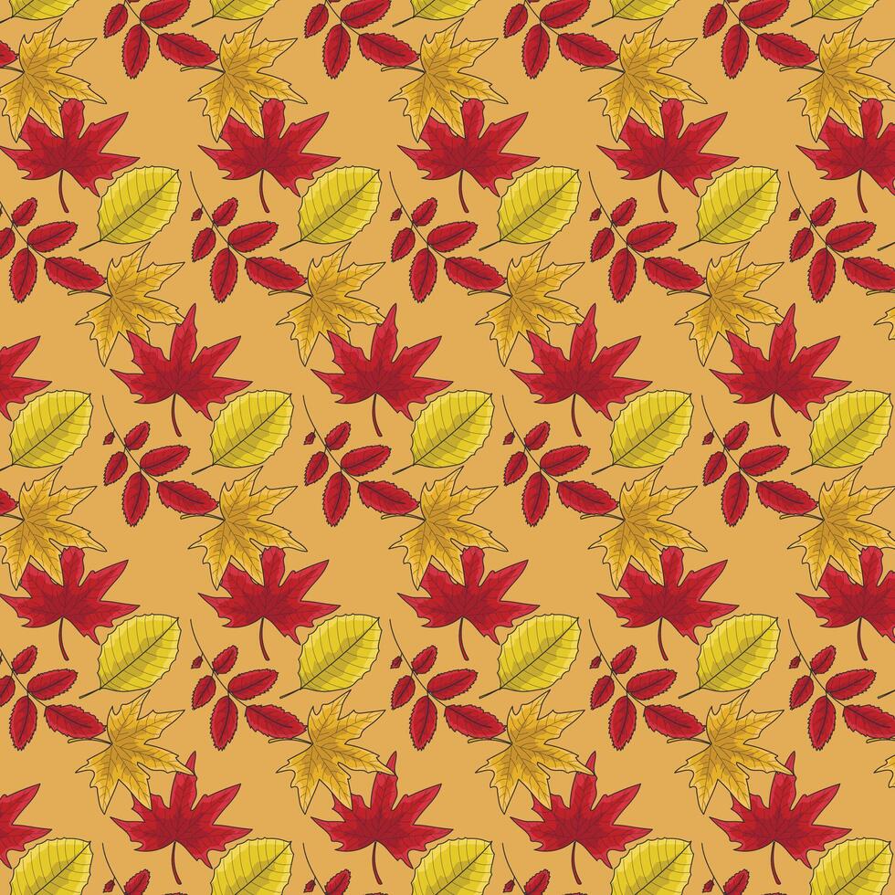 autumn leaves pattern. seasonal october background vector