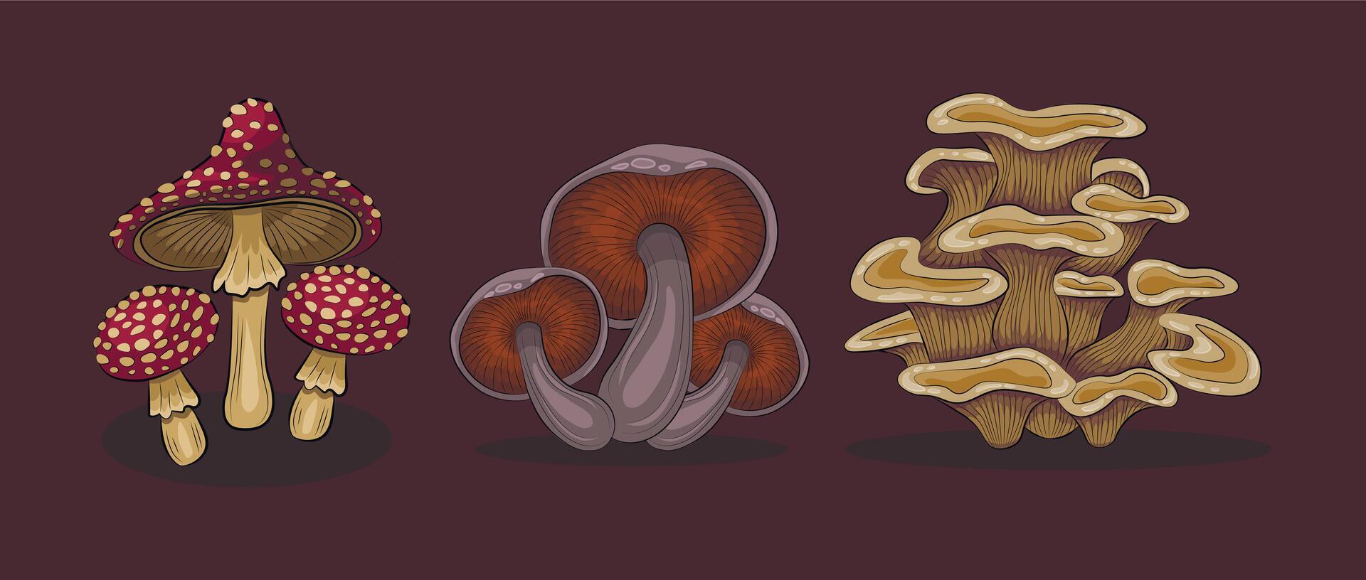 mushroom cartoon set. gilled mushroom, fly-agaric and oyster mushroom vector