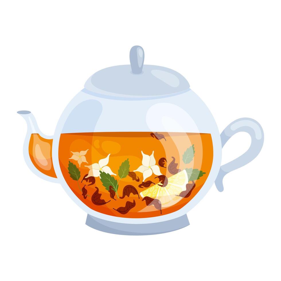 Round glass teapot with tea on white background. Illustration on white background. vector