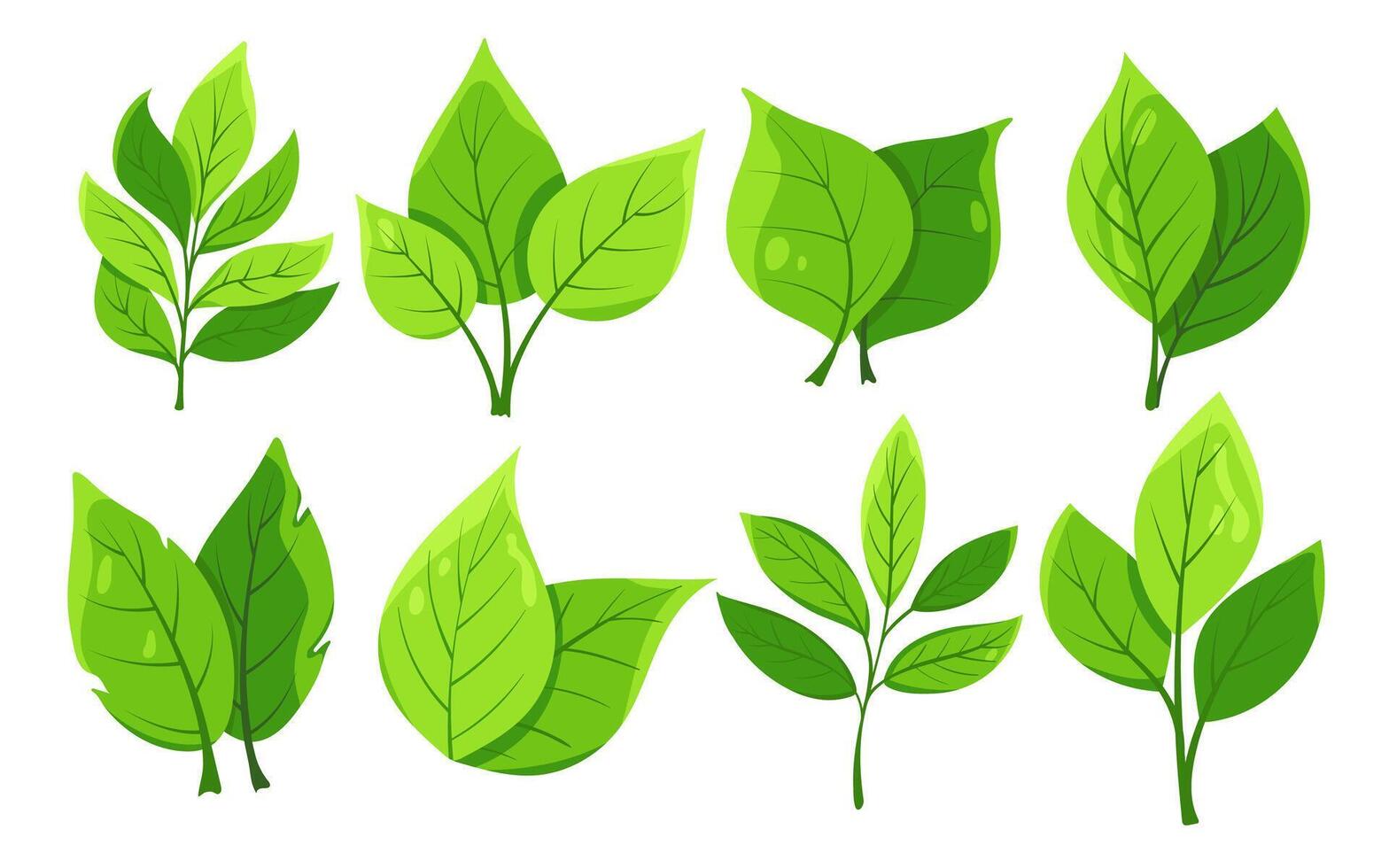 collection of stylized green leaves. Lush vibrant green leaves with shading and veining on white background for eco project, design, packaging vector
