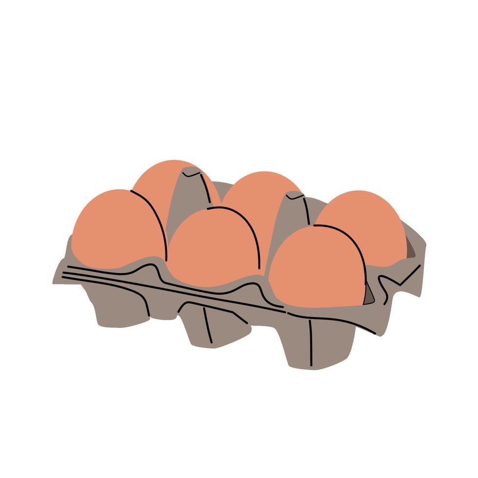 Chicken eggs in an open cardboard package. The egg box is isolated on a white background. vector