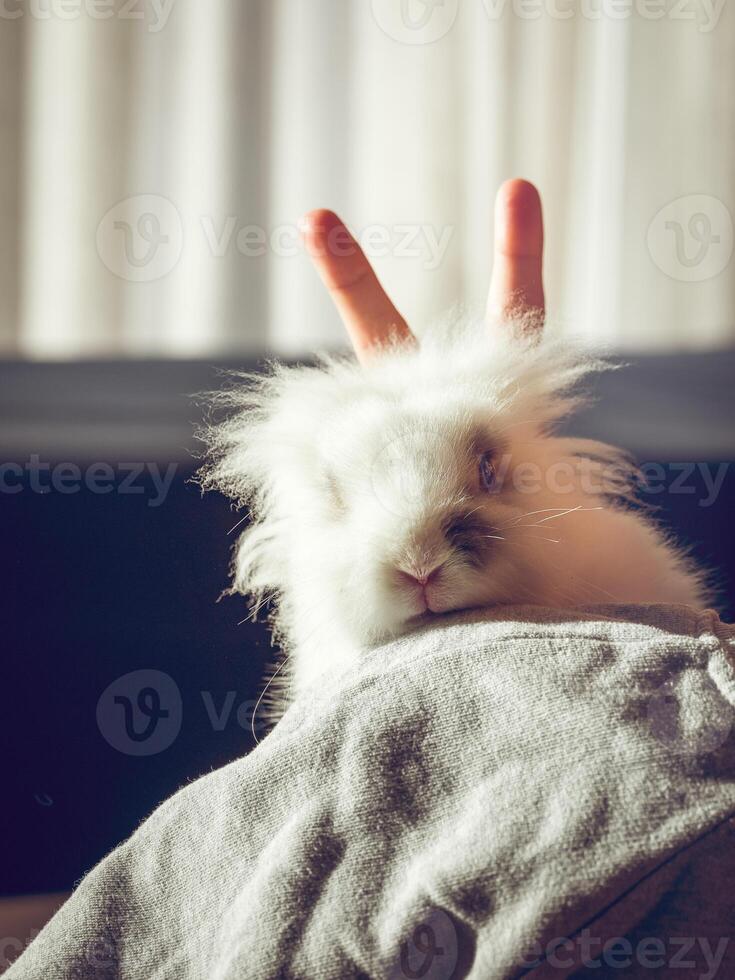 Faceless person showing rabbit ears gesture near rabbit photo