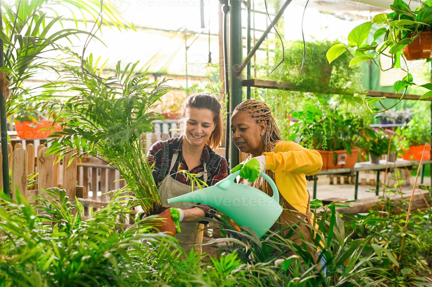 Happy women working in greenhouse photo