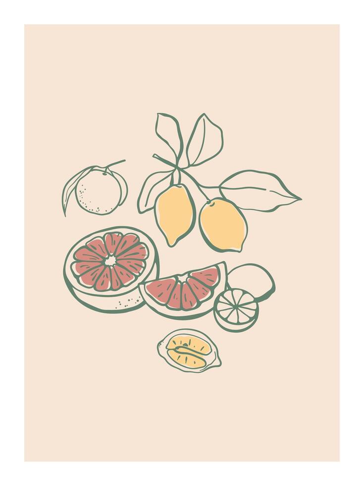 Hand drawn citrus fruits composition. Food design for poster, card, market, social media, print vector