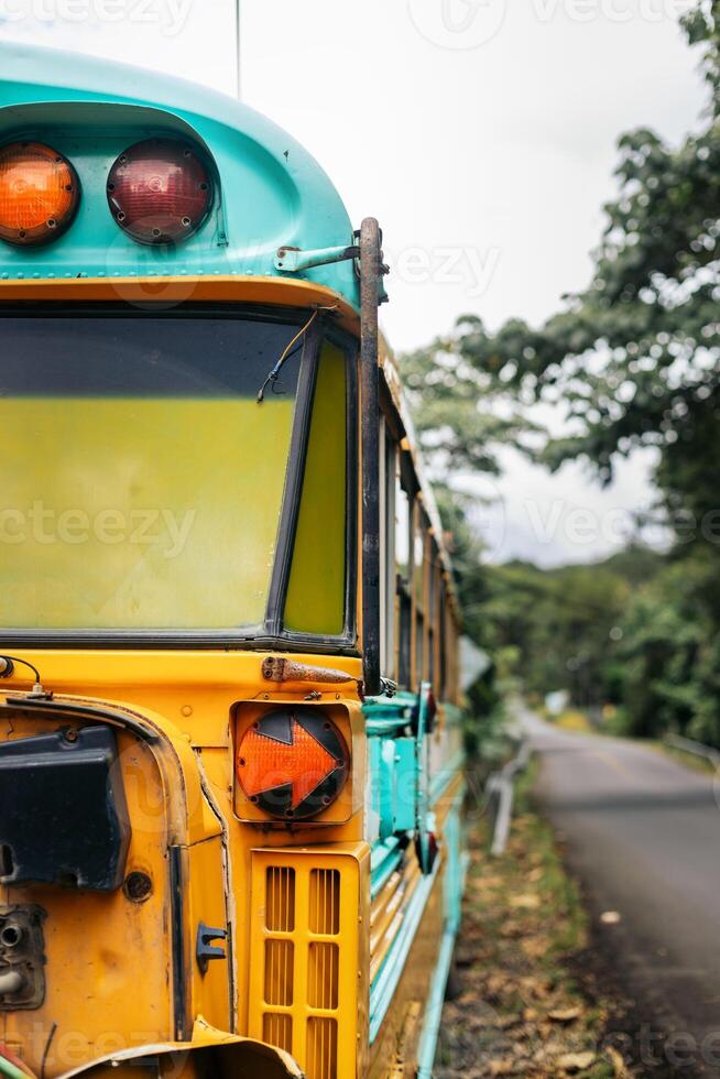 Abandoned yellow school bus photo