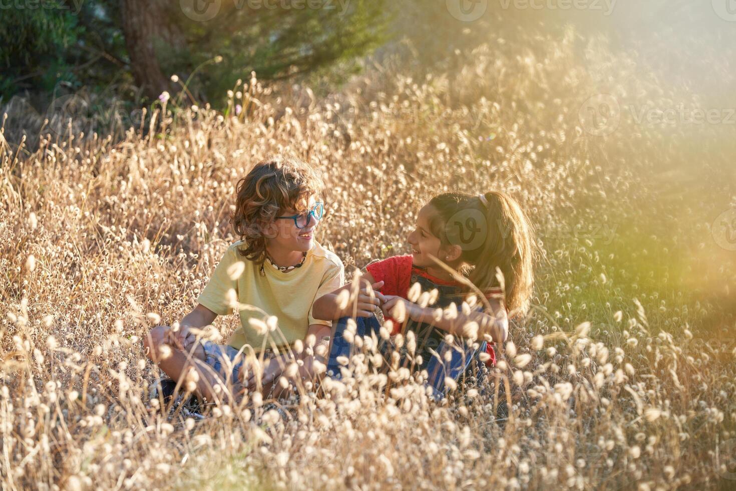 Friends enjoying time together in nature photo