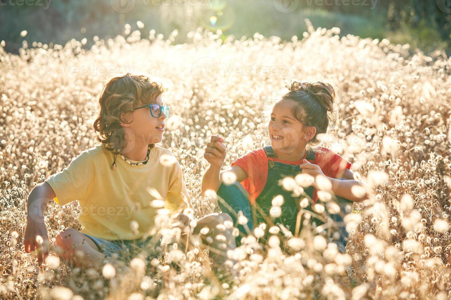 Happy siblings sitting on meadow full of flowers photo