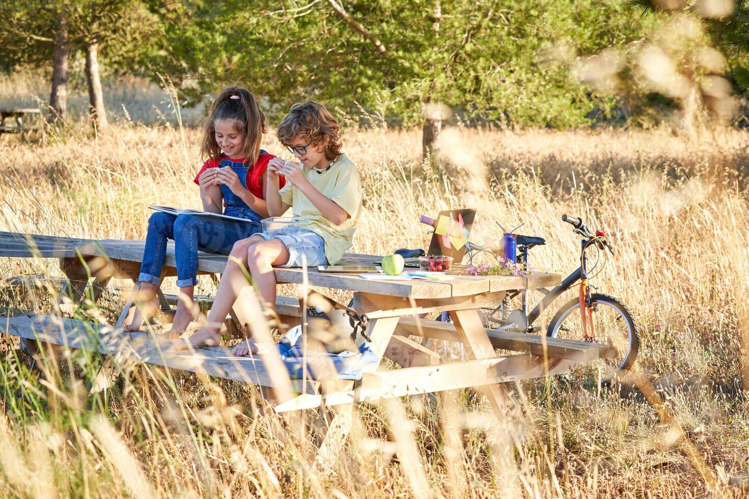 Cheerful children sitting on bench with book and sandwich photo